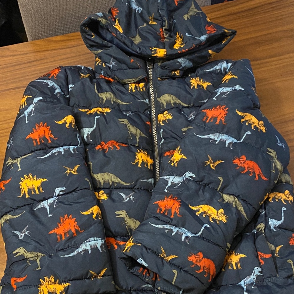 H&M Black Fleece Jacket